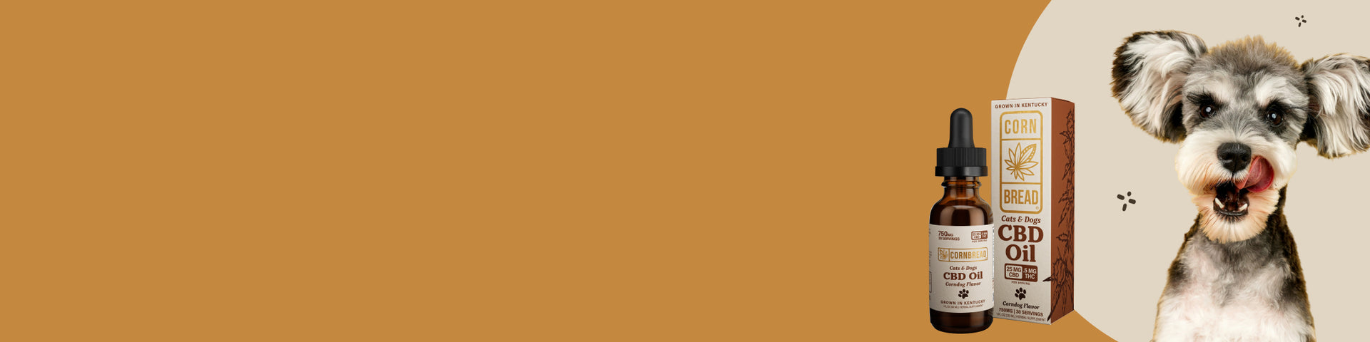 Collection hero background