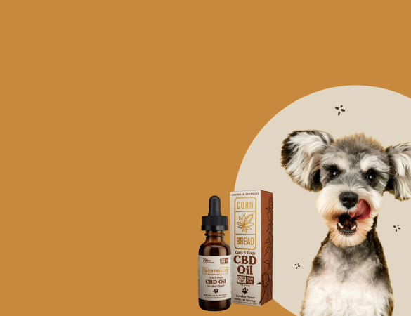 Collection hero mobile background