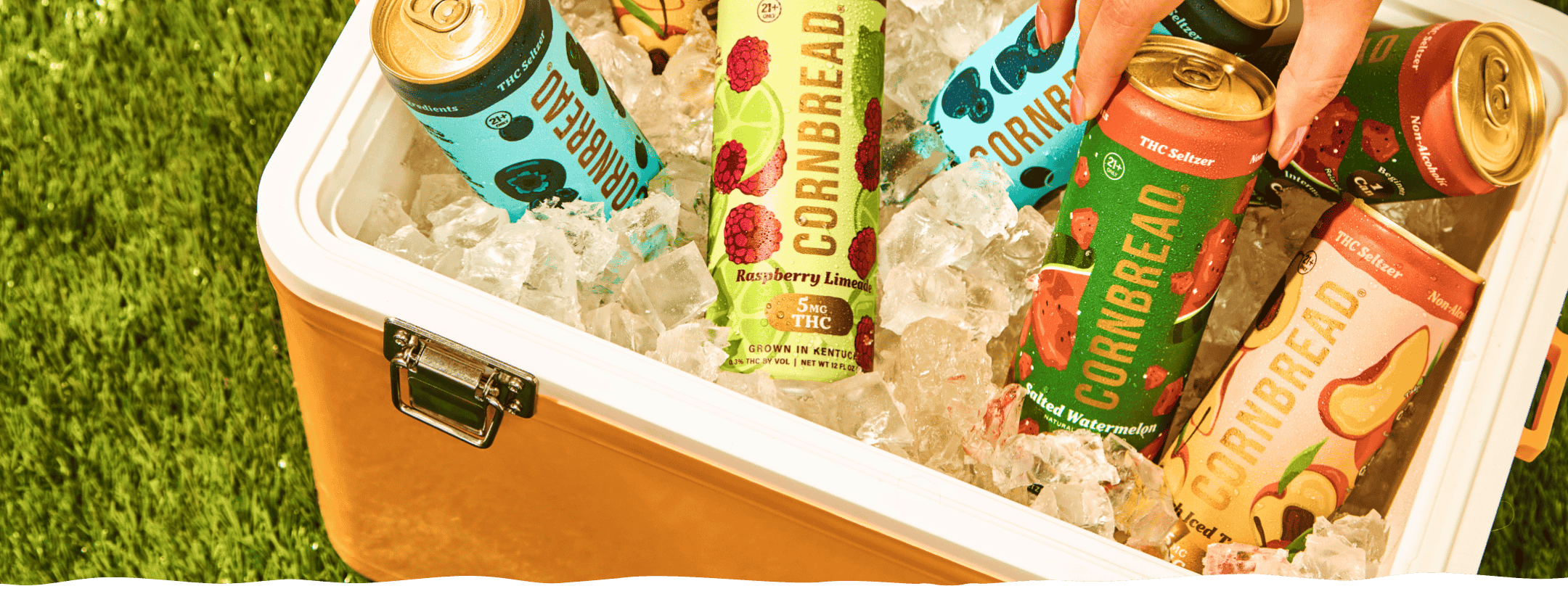 THCa vs Delta 9: Understanding the Key Differences and Effects