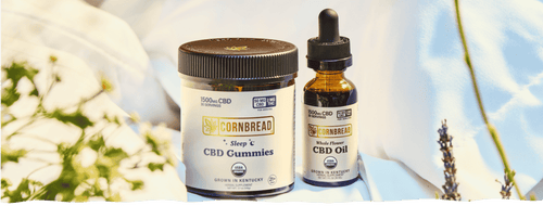How Much CBD Should I Take for Sleep?