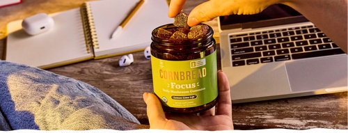Lion's Mane Mushroom Benefits: Brain, Mood, and Focus Explained