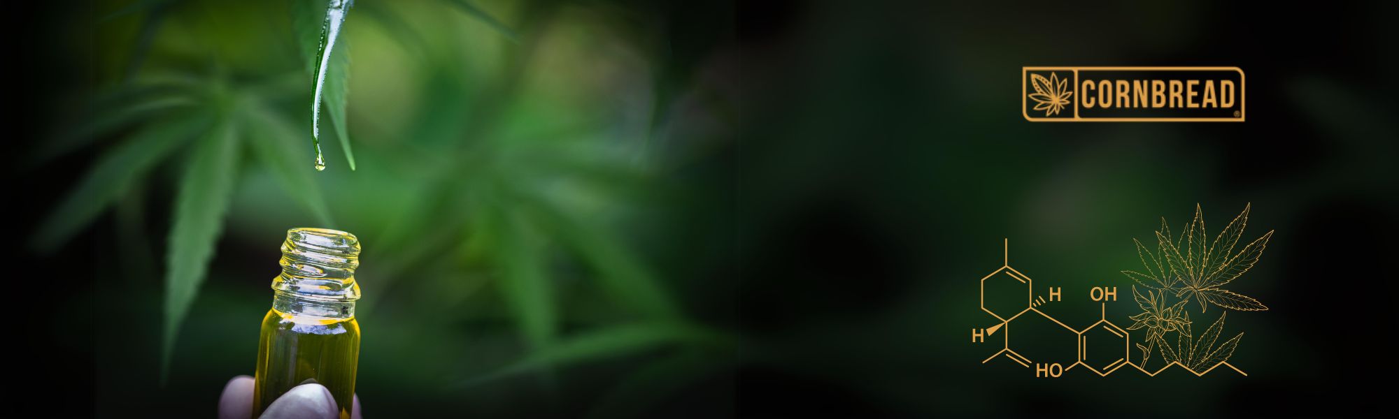 Is CBD Bad For Your Liver? CBD Oil Side Effects on Liver Function