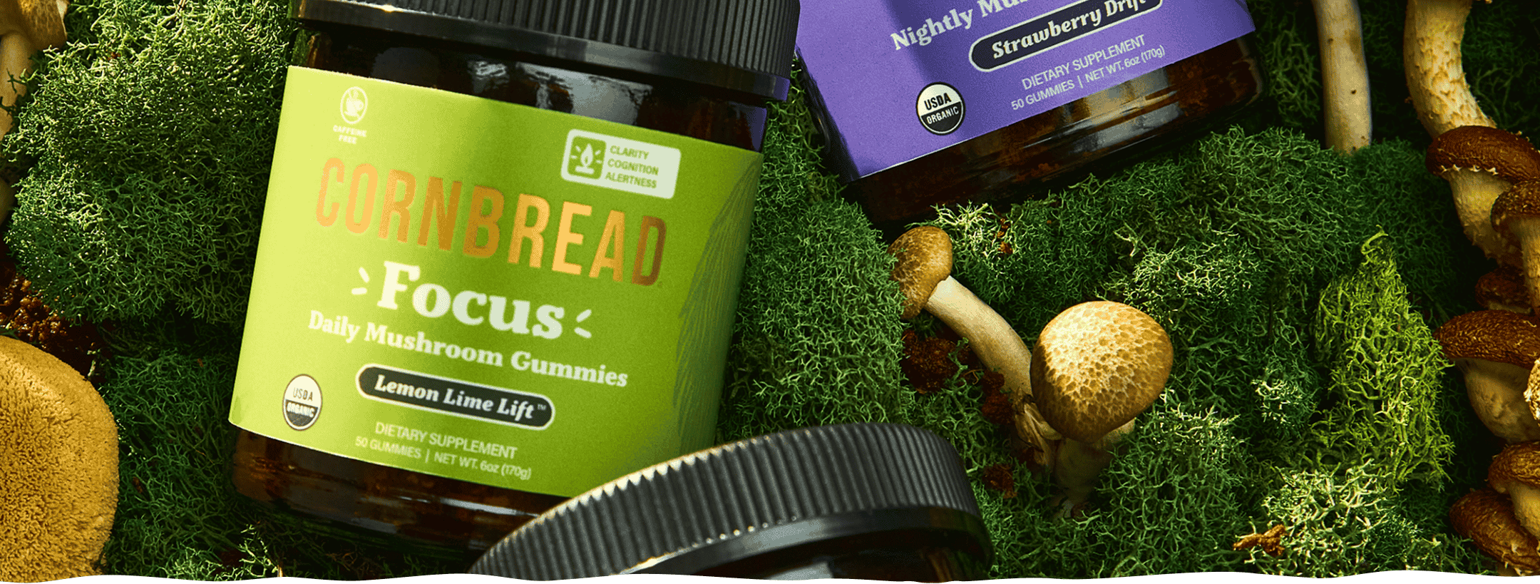 How Long Do Mushroom Gummies Take to Work?
