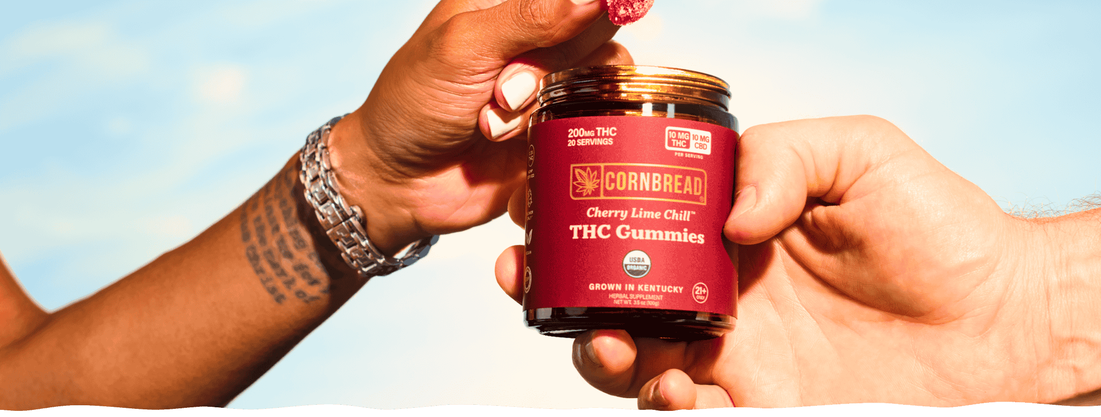 The Ultimate Guide to THC Gummies: Benefits, Potency, Timing, and Usage Tips