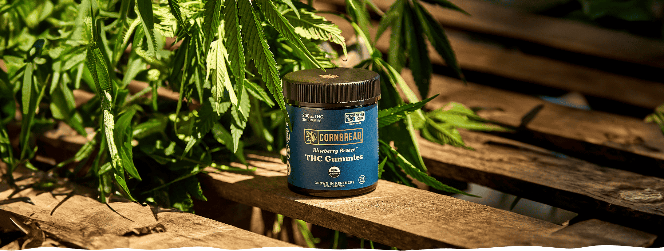 Guide to Microdosing THC: Benefits and Best Practices
