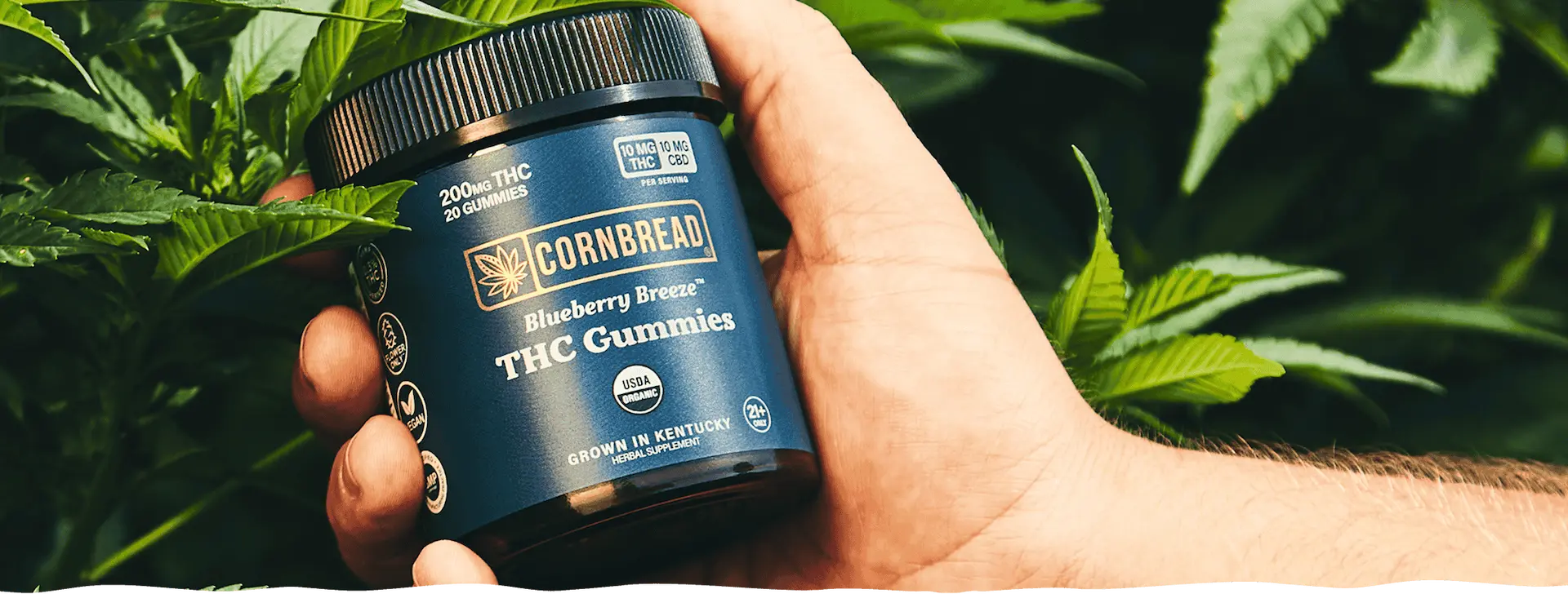 How to Get THC Out of Your System Quickly: Tips and Myths