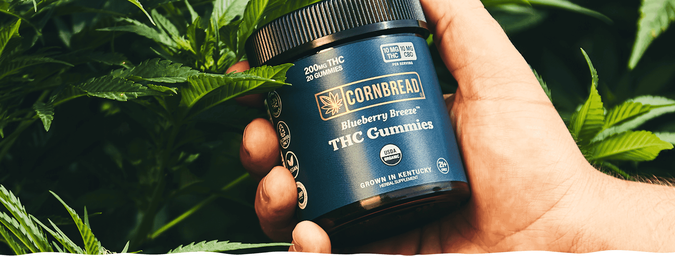 How to Get THC Out of Your System Quickly: Tips and Myths