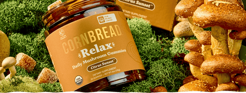 Mushroom Gummies Benefits: What Lion’s Mane, Reishi, and Cordyceps Do