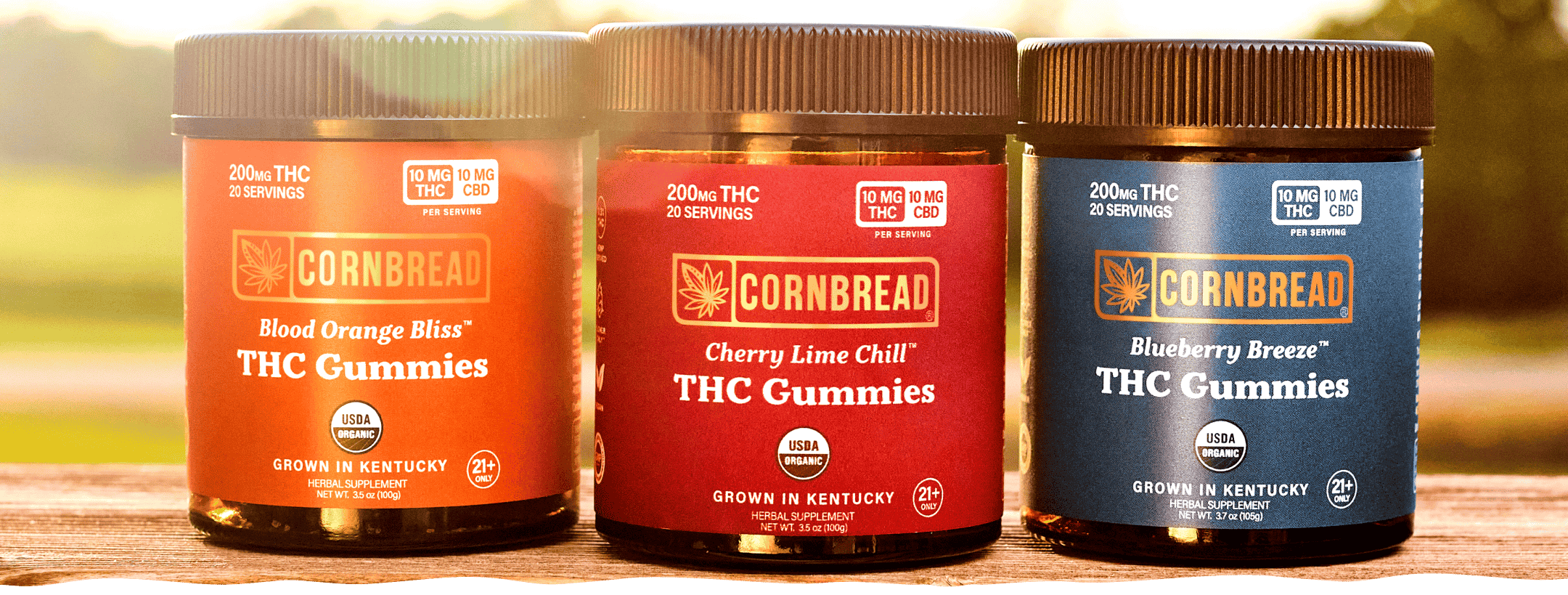 What Are Delta 9 Gummies? A Complete Beginner’s Guide