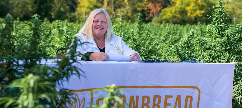 how long does cbd stay in your system