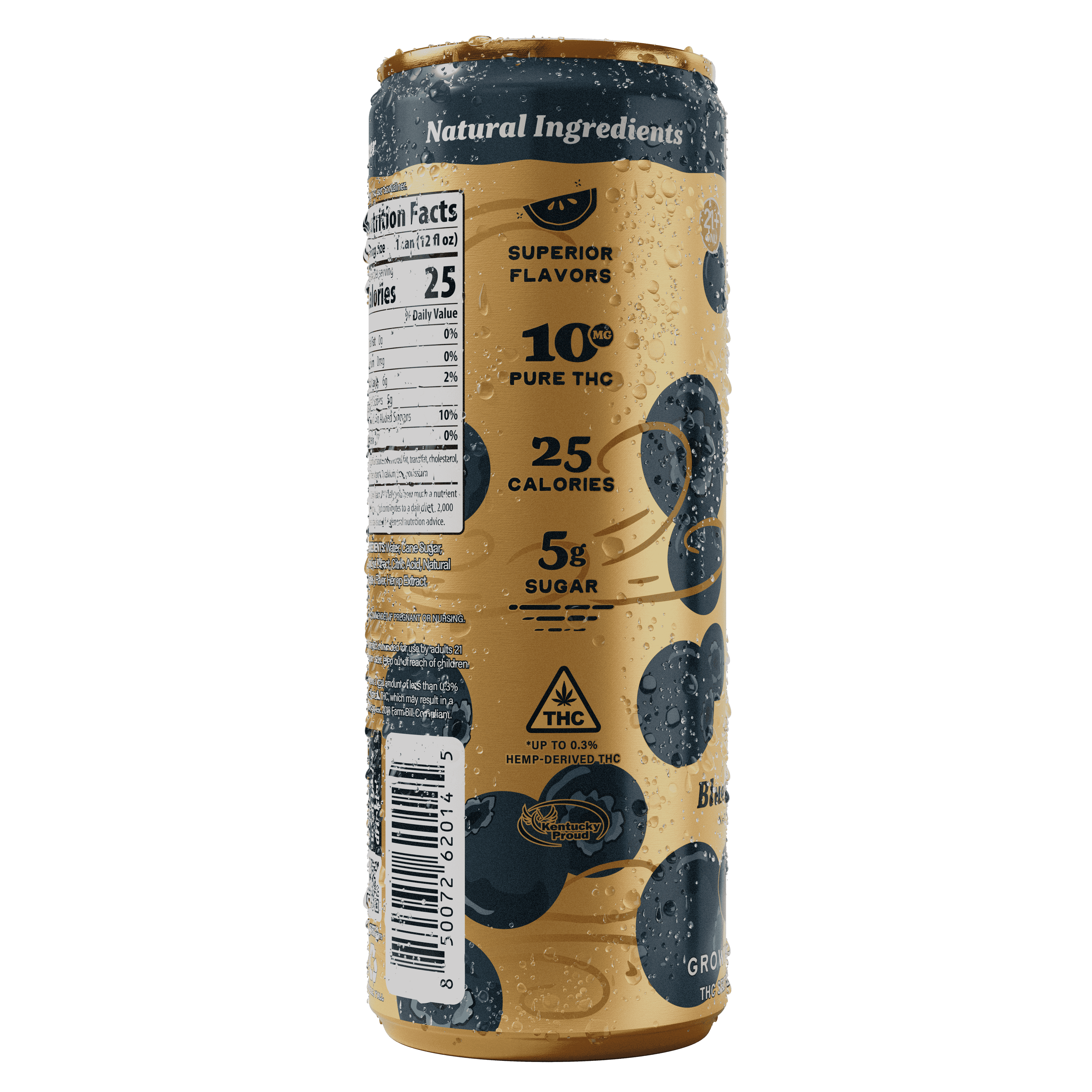 Blueberry Breeze Seltzer