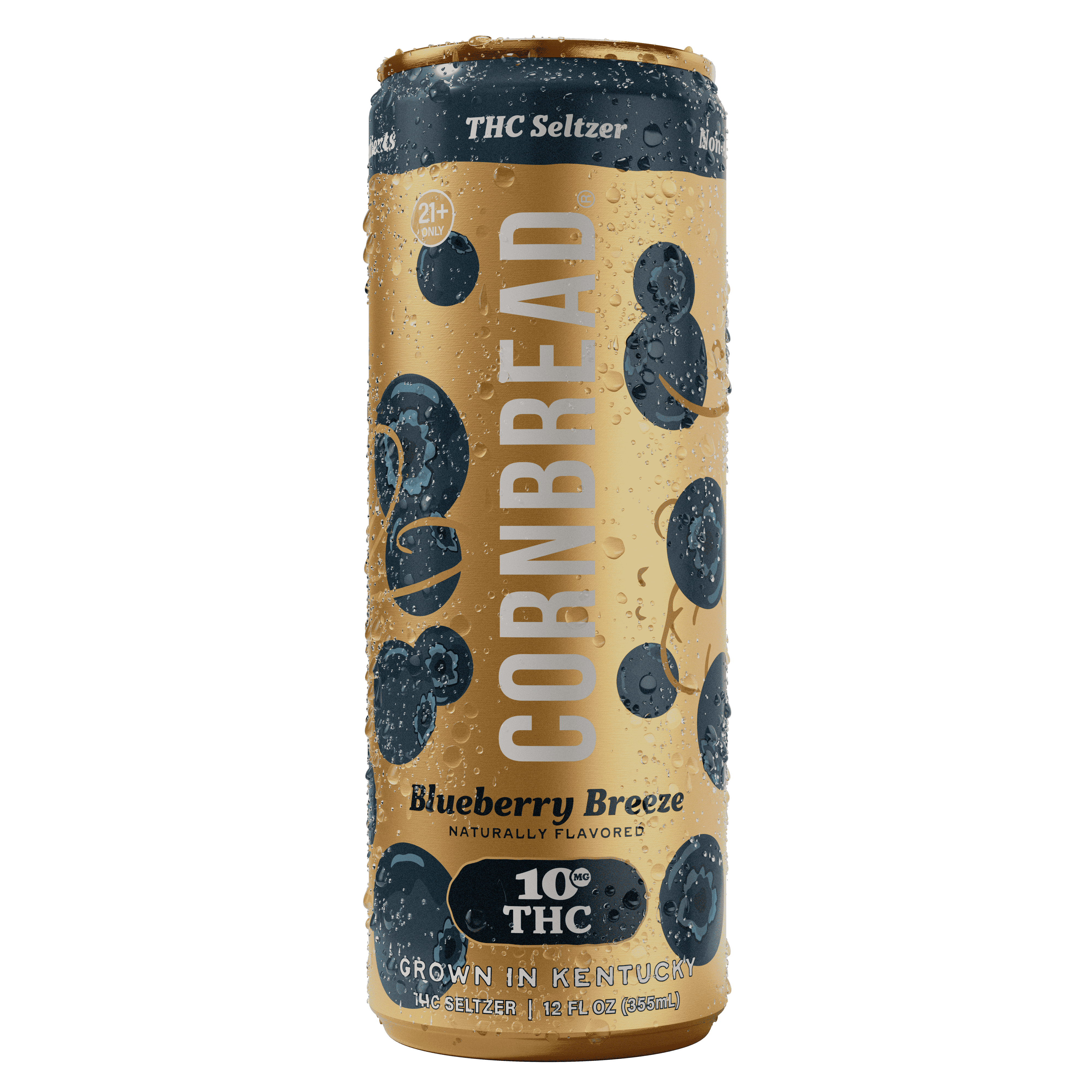 Blueberry Breeze Seltzer