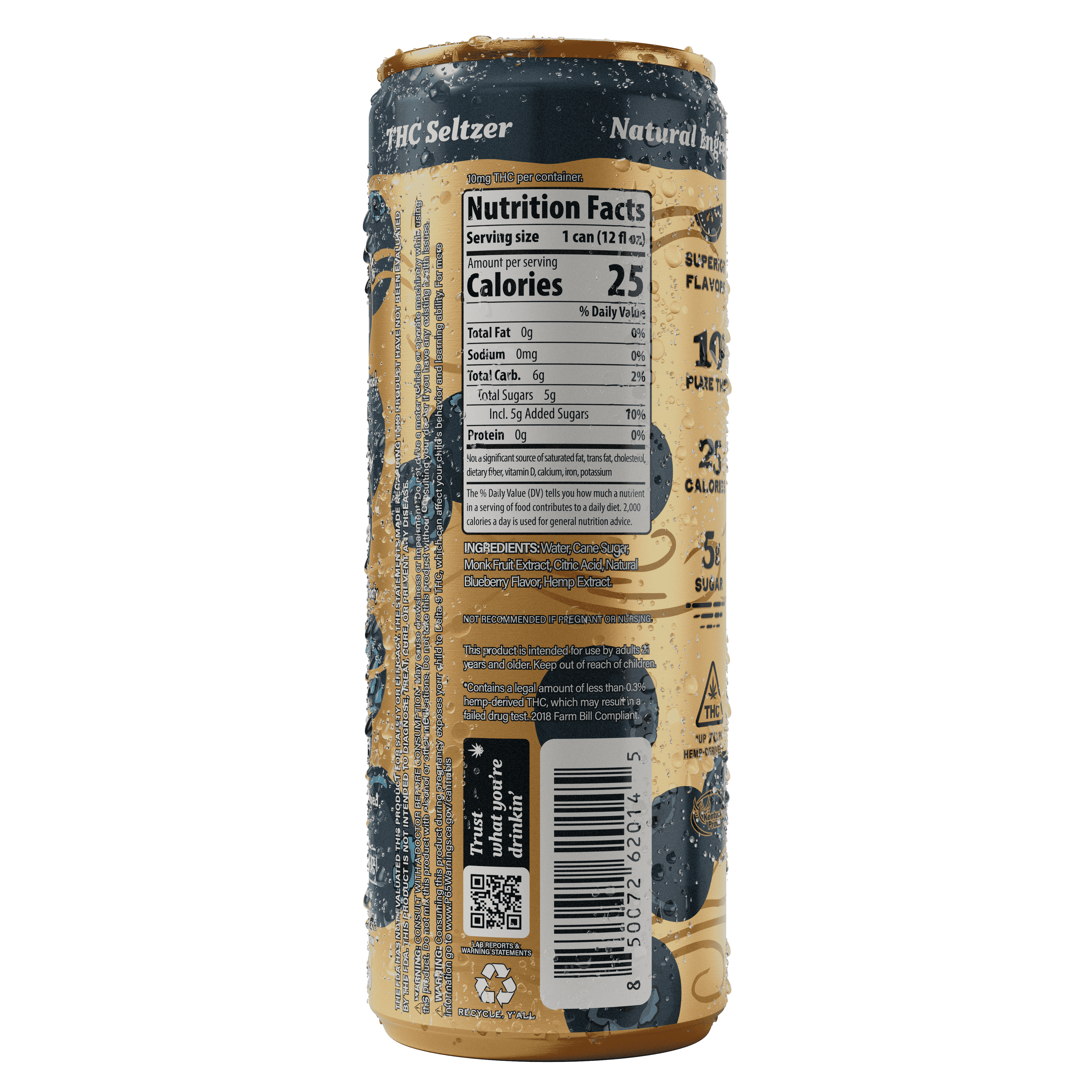 Blueberry Breeze Seltzer