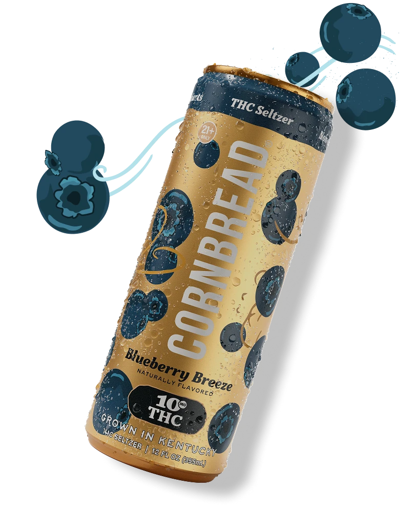 Blueberry Breeze THC Seltzer, 10mg