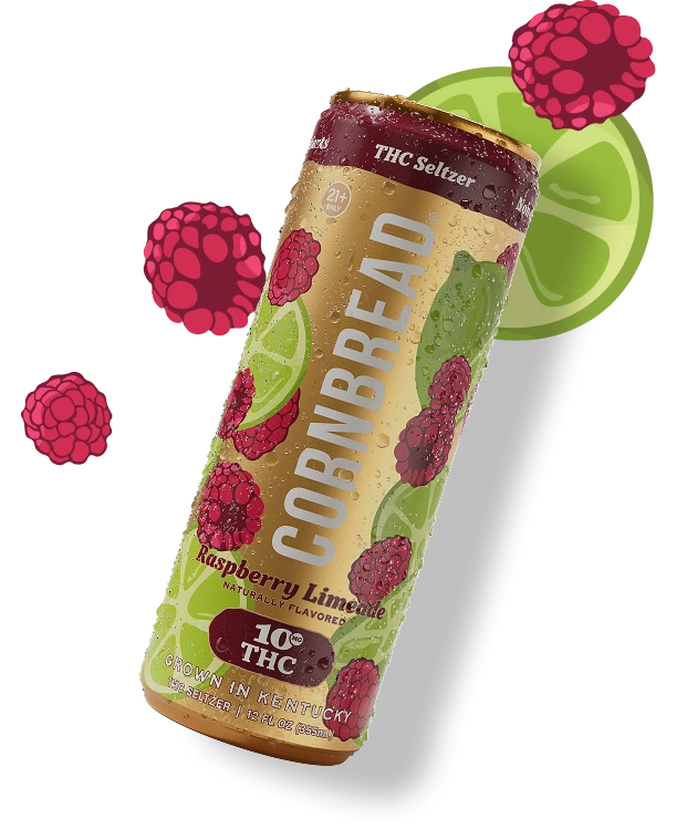 Raspberry Limeade THC Seltzer, 10mg