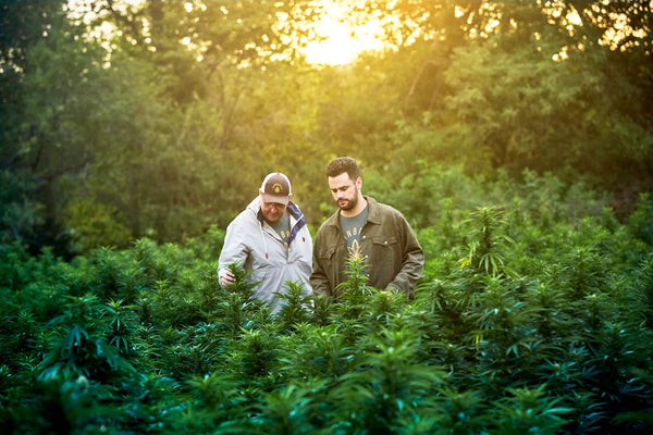 Eric and Jim founders of Cornbread Hemp
