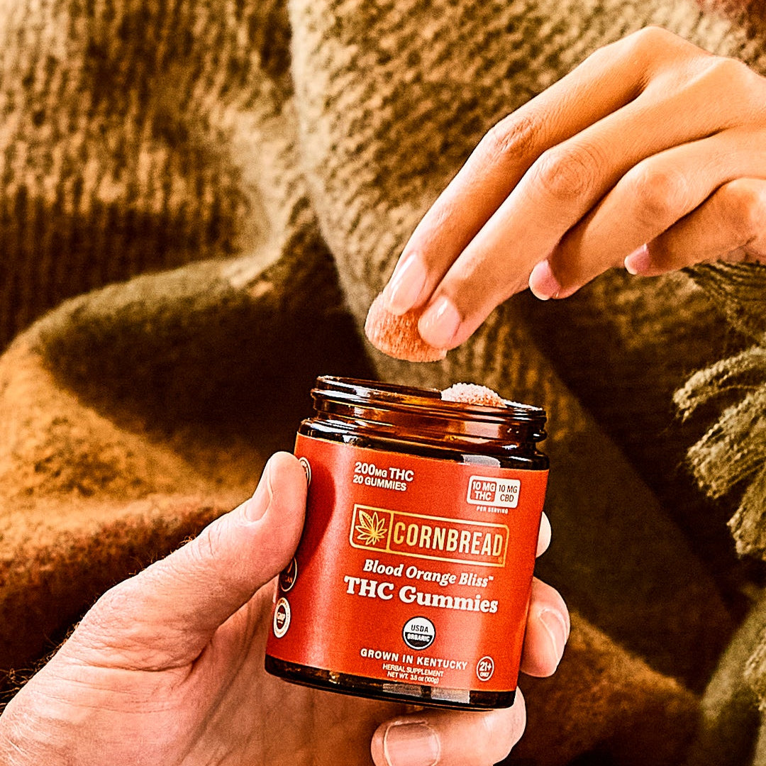 What Are Regular CBD Gummies?