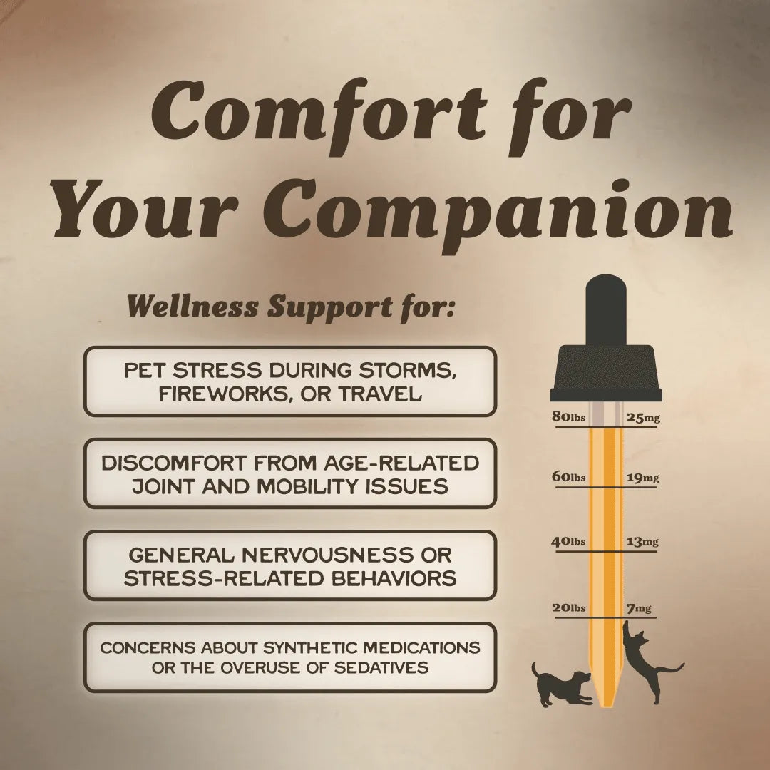 Full Spectrum CBD Oil for Pets