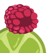 Raspberry Icon