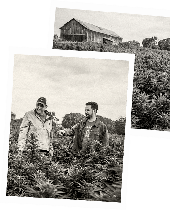 <p>Stay informed.</p><p>Stay ready to fight.</p>