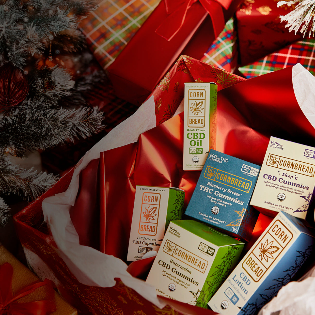 Is it Safe to Give Dogs CBD Gummies?