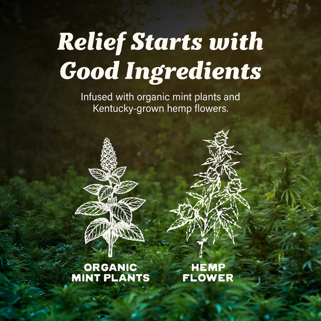 CBD Lotion + Menthol