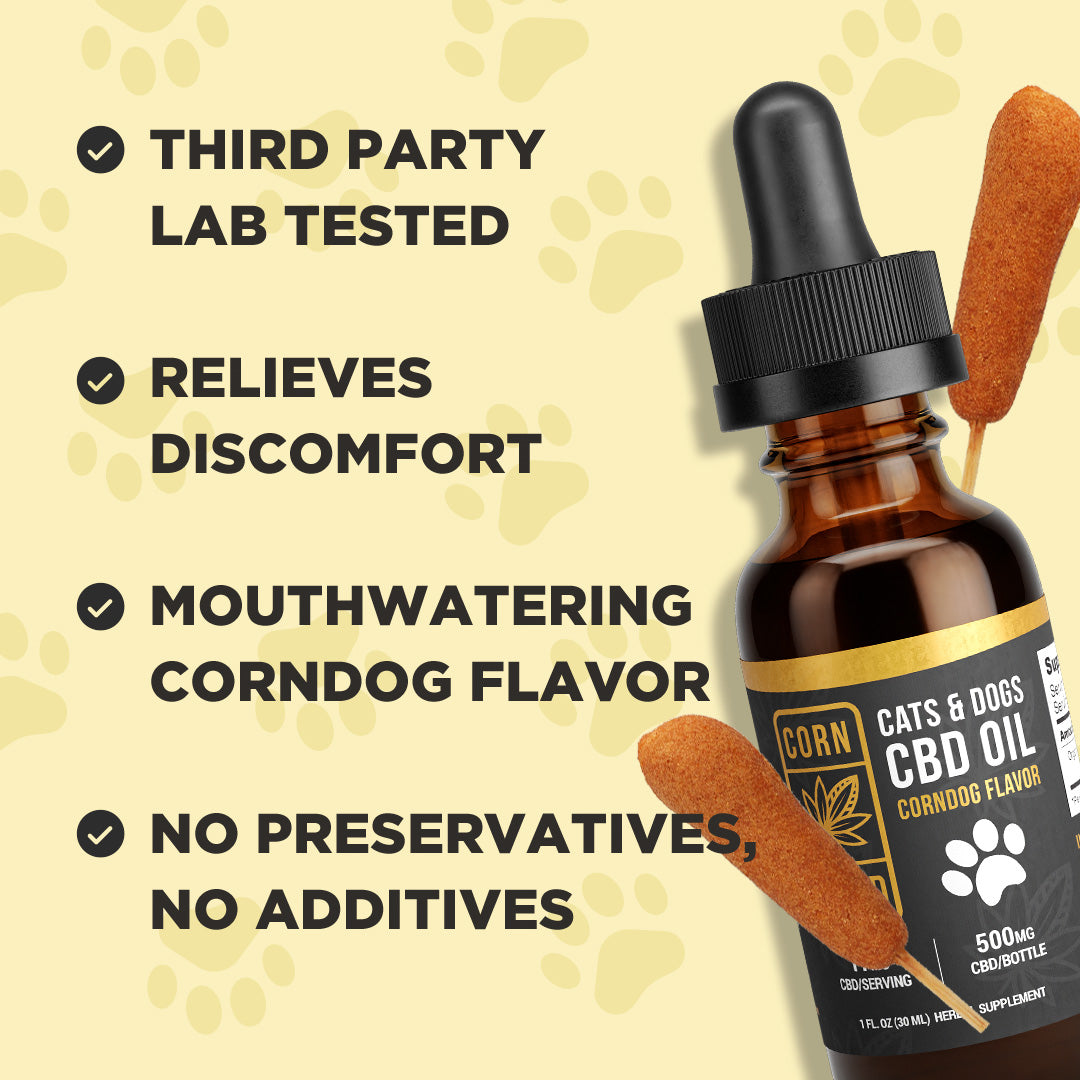Corndog Flavored CBD Oil for Dogs
