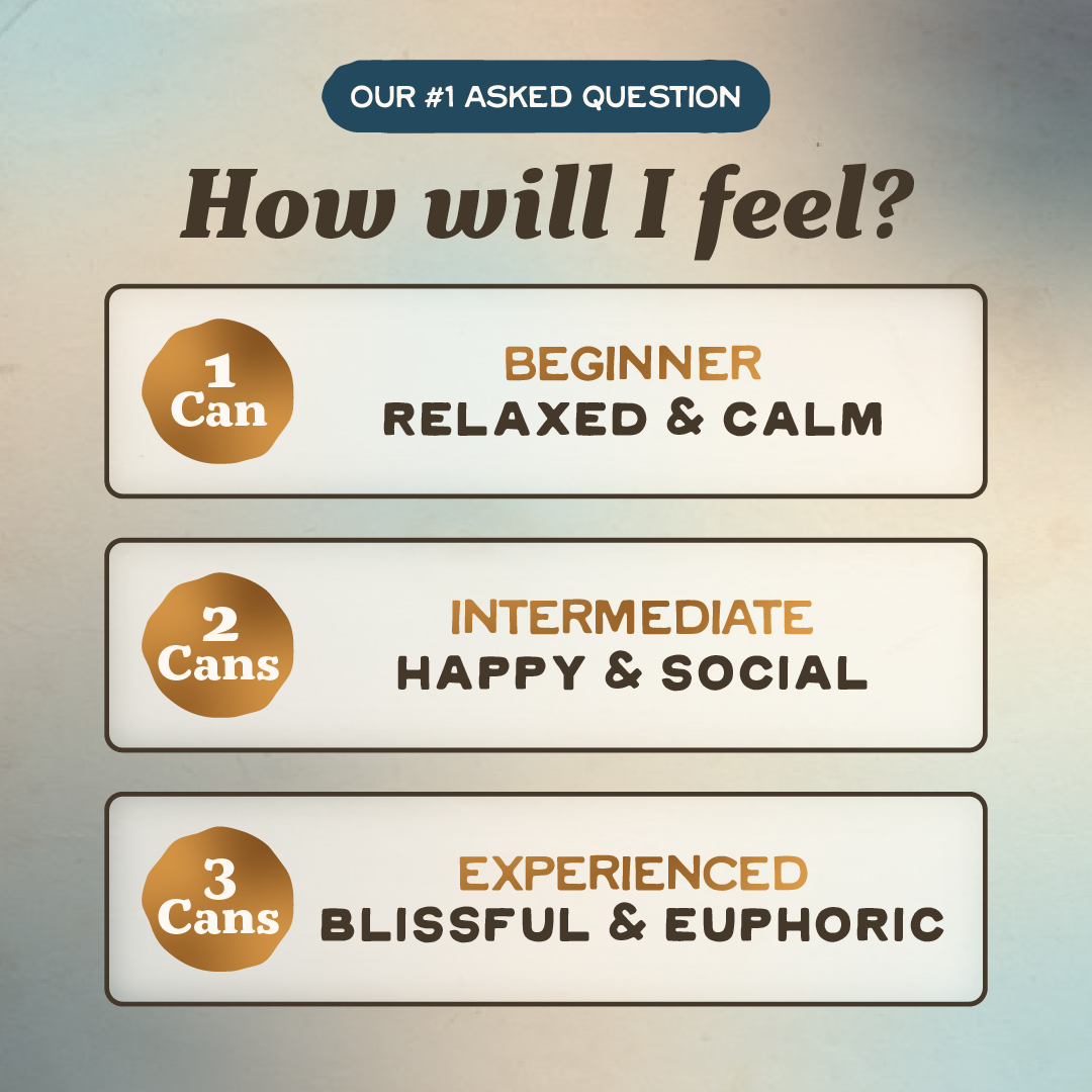 Blueberry Breeze THC Seltzer, 5mg