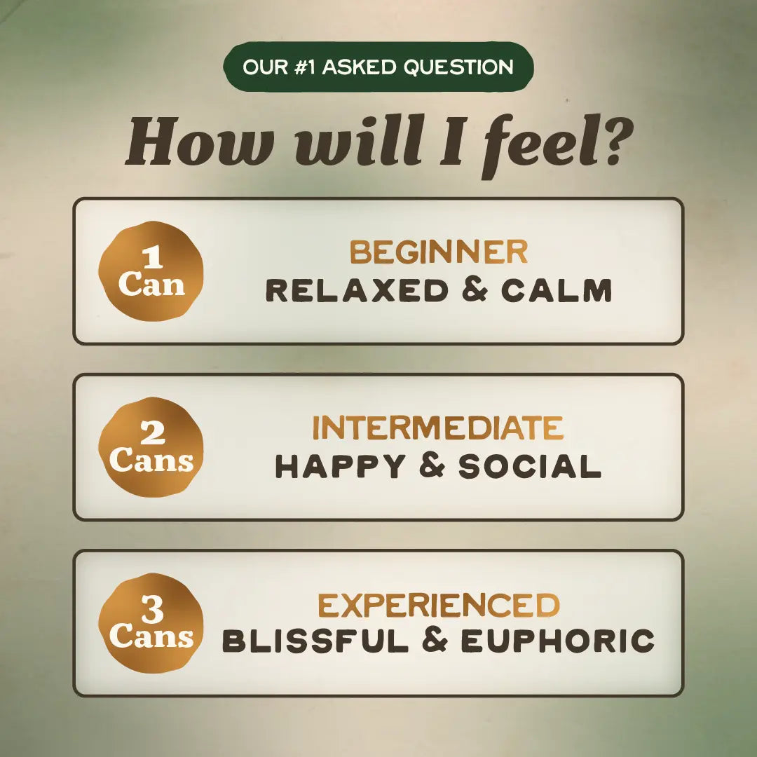 Salted Watermelon THC Seltzer, 5mg