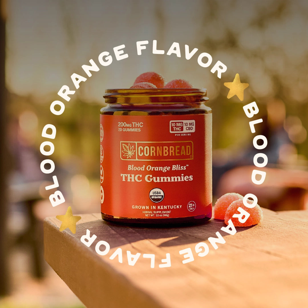 Blood Orange Bliss THC Gummies - 10mg - Cornbread Hemp®