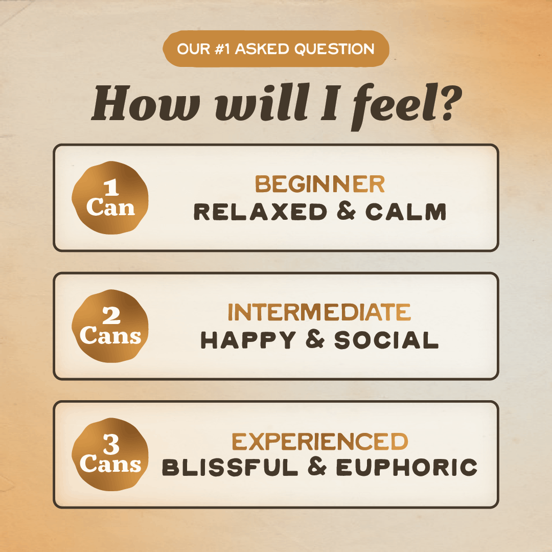 Variety Pack THC Seltzer - 4 Pack