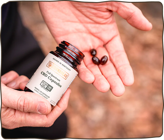 CBD Capsules