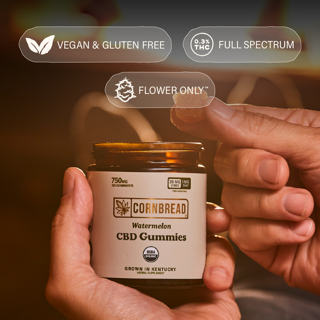 Watermelon CBD Gummies