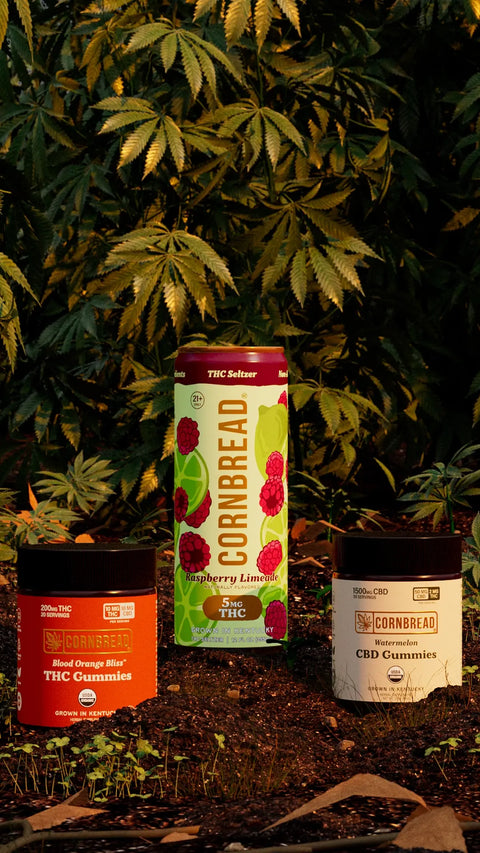 THC Seltzer THC Gummies CBD Gummies