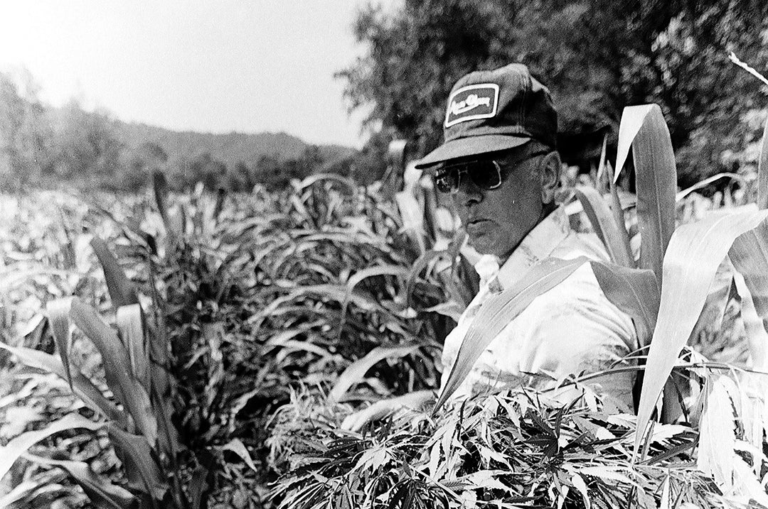 The Cornbread Mafia Cornbread Hemp®