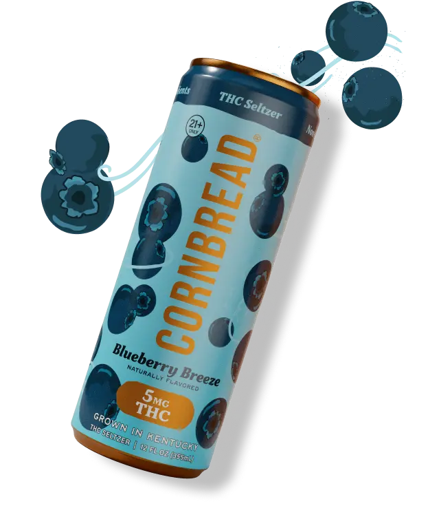 Blueberry Breeze THC Seltzer, 5mg