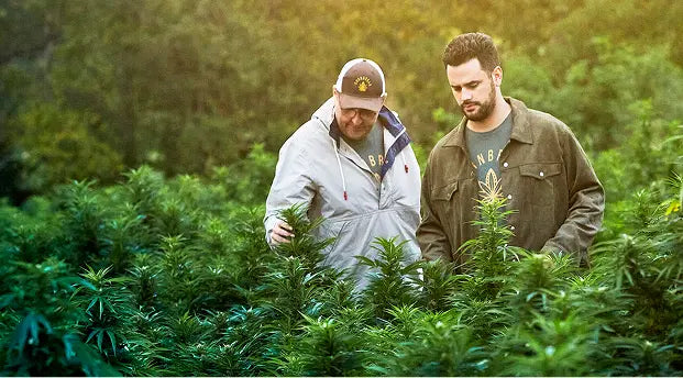 Cornbread Hemp Lab Reports