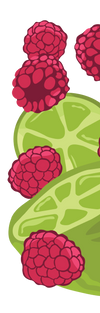 Raspberry LIme Icons