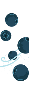 Blueberry Icons
