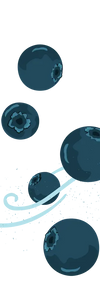Blueberry icons