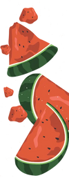 Illustration of watermelon slices on a white background