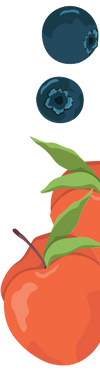 THC Seltzer Variety Pack icons