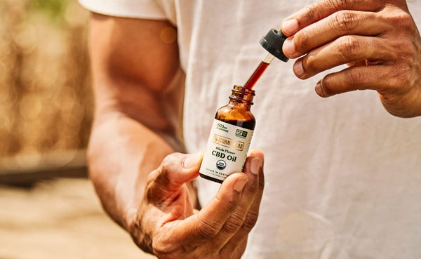 Whole Flower CBD Oil Cornbread Hemp