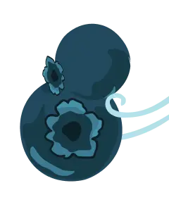 blueberry